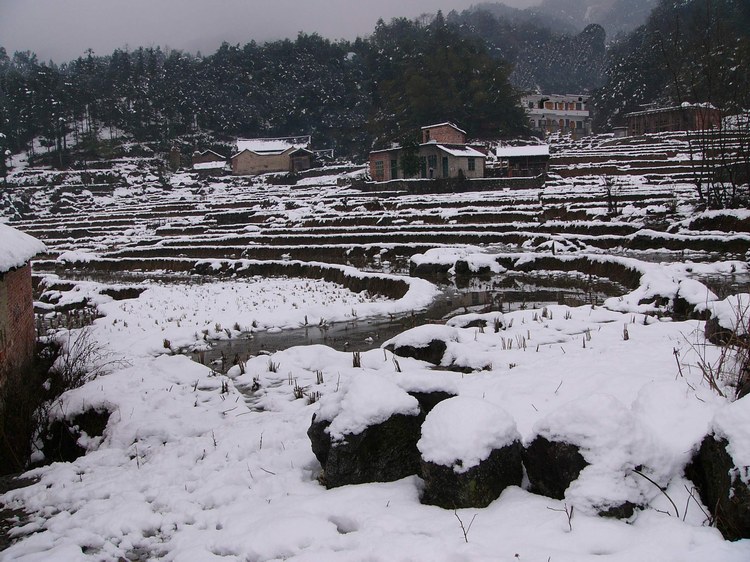 2005年第一场雪 摄影 影君子