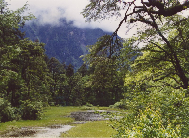 雨后 摄影 山民野夫