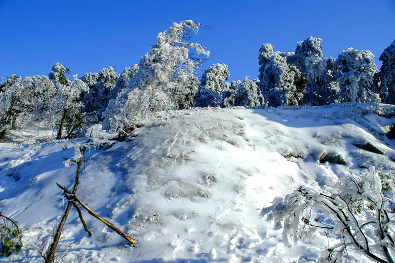 冬雪 摄影 chjlin88