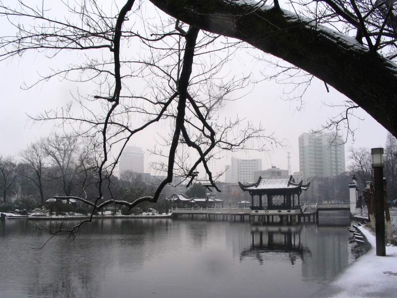 农历新年的第一场雪 摄影 沉默彩虹