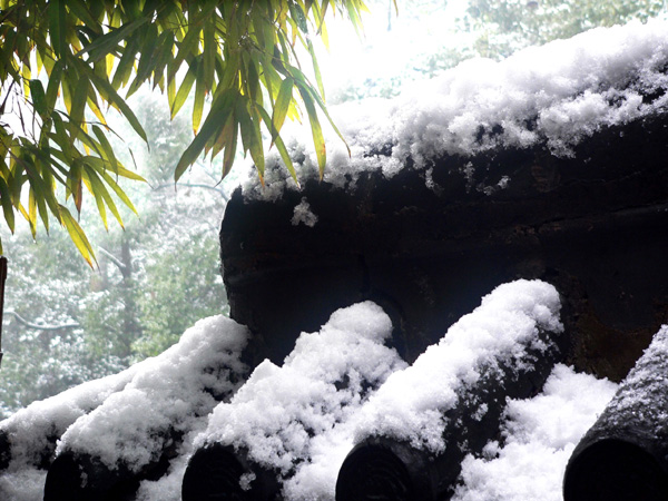 瑞雪迎春 摄影 怪味糖