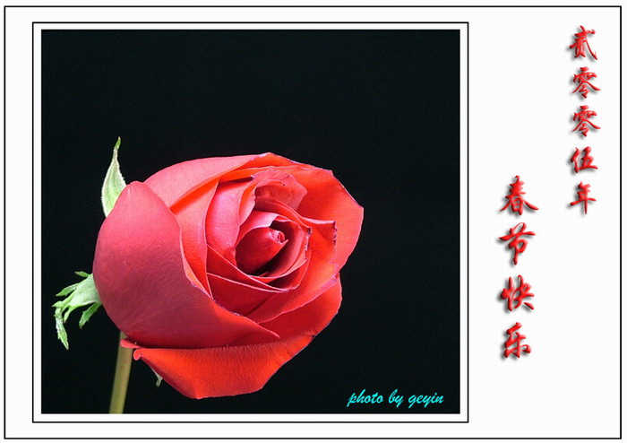 2005 春节快乐 摄影 geyin