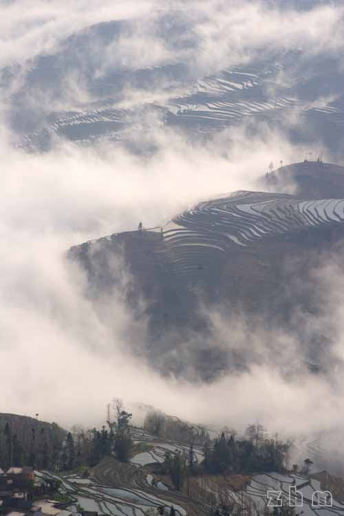 雾锁银田 摄影 汉子