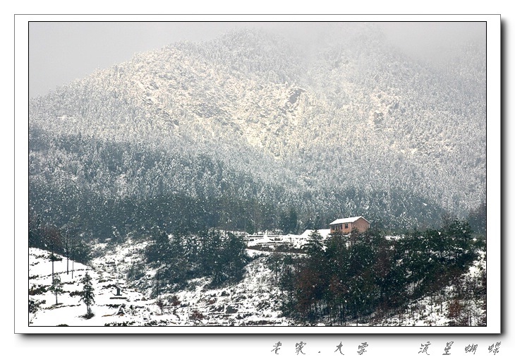 老家的大雪 摄影 流星蝴蝶