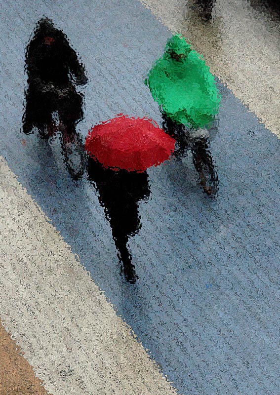 风雨兼程 摄影 阳光客