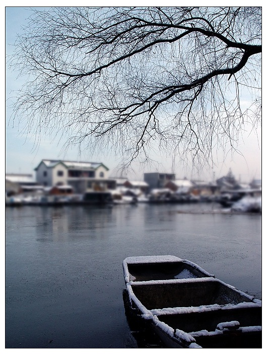 水乡雪国 摄影 板桥竹