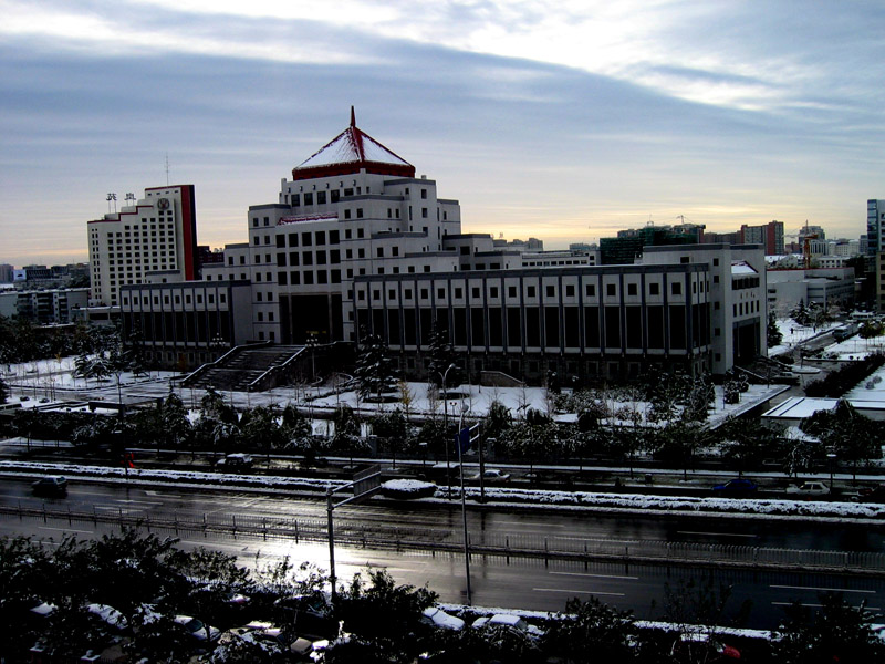 今年北京总下雪 摄影 酒精肝