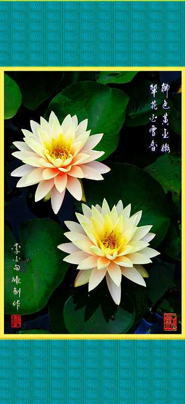 柳色黄金嫩 摄影 zhangjian