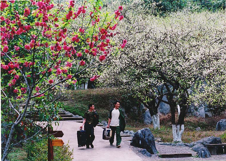 山乡归客 摄影 qinjiangyu