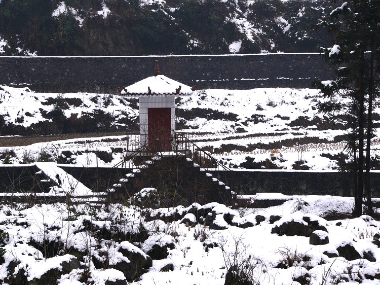 雪中情 摄影 影君子