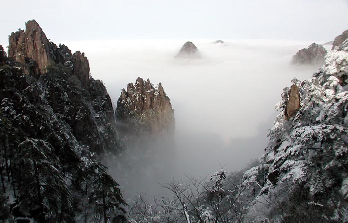  黄山 摄影 九头鸟