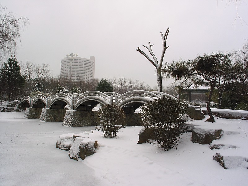 雪中小景 摄影 zql8802