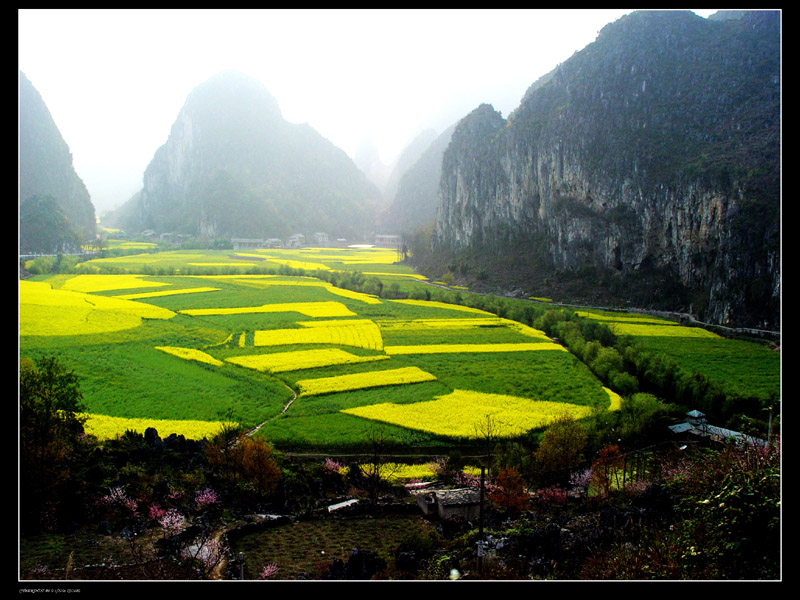 在那桃花盛开的地方 摄影 岳公颖