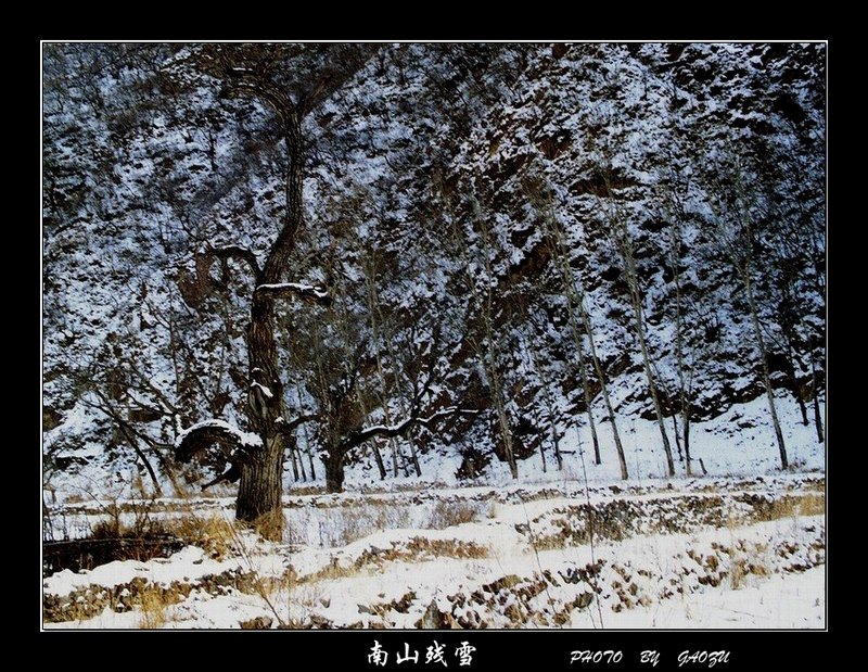 南山残雪 摄影 高歌