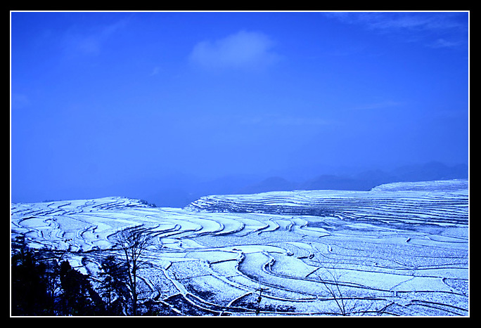 雪野3 摄影 小师妹