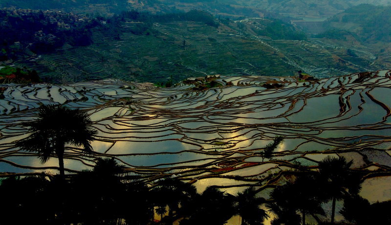 甲寅梯田 摄影 cheung