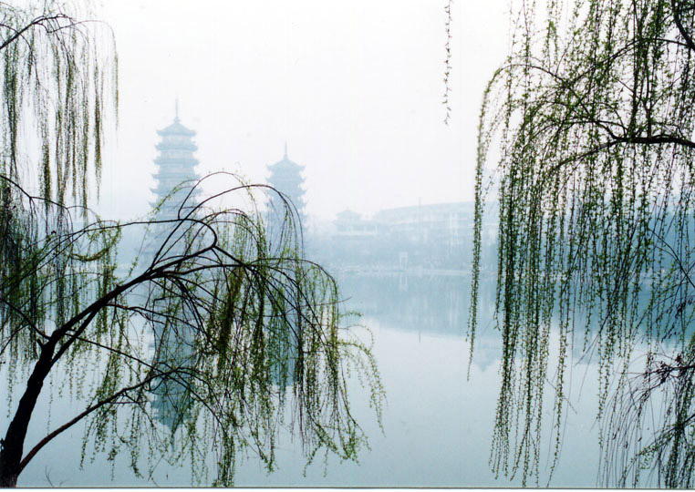 春到杉湖 摄影 qinjiangyu