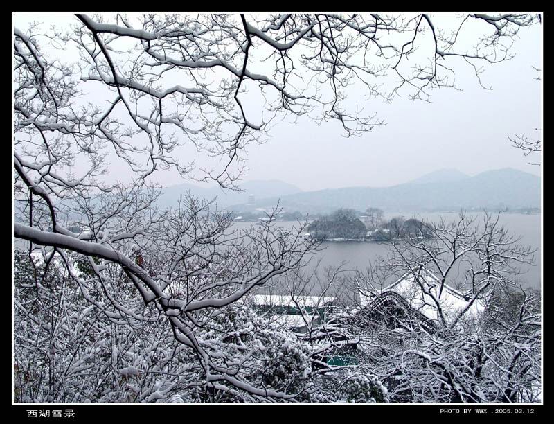 西湖春雪 摄影 wwx