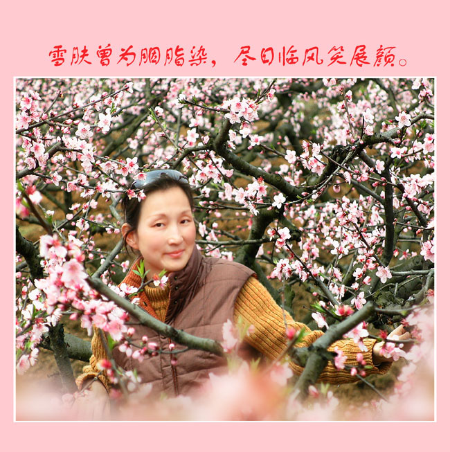 人面桃花 摄影 wnagdj