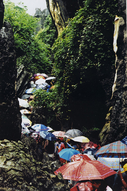 雨中情 摄影 石竹堂