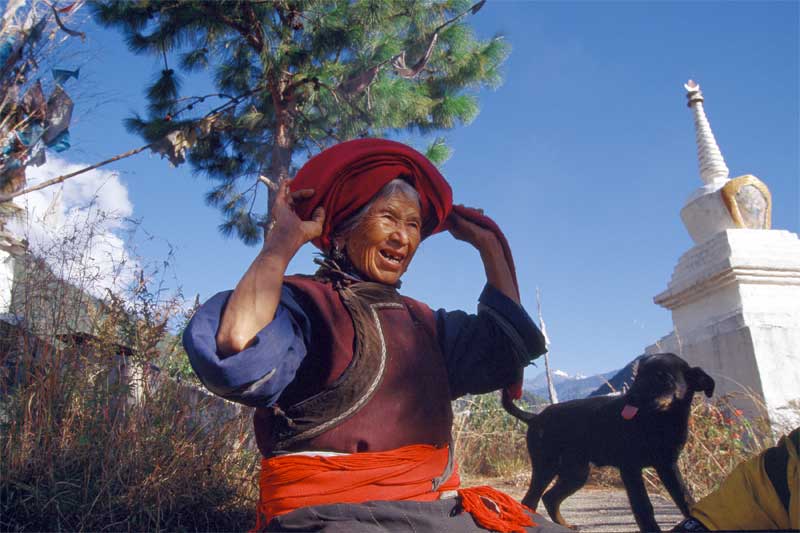 经塔.女人和狗 摄影 居落纳若