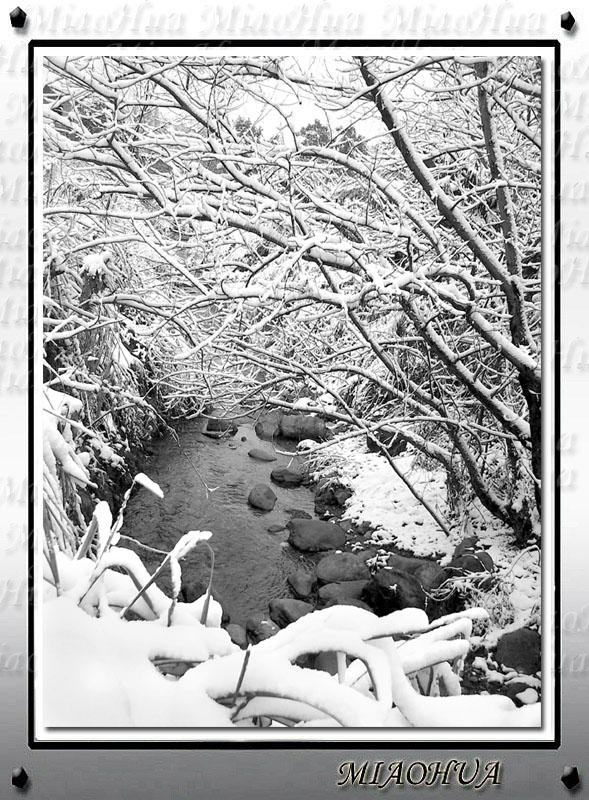 <三月春雪--溪流2> 摄影 摄郎A