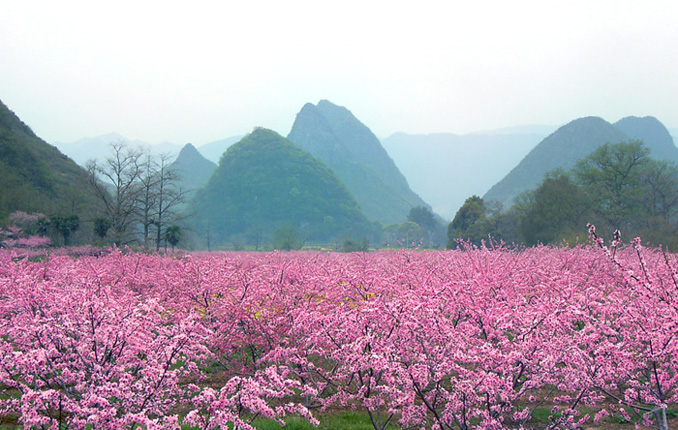 桂林桃花源 摄影 tianyu