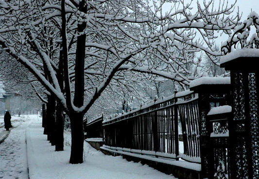 2005.4.10.雪 摄影 老黎子