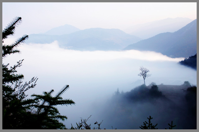 云雾山涧 摄影 方正