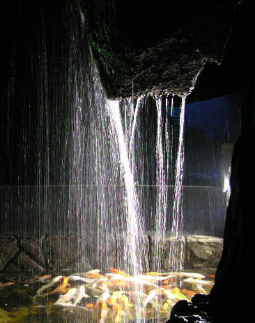 雨一直下 摄影 阳光地带