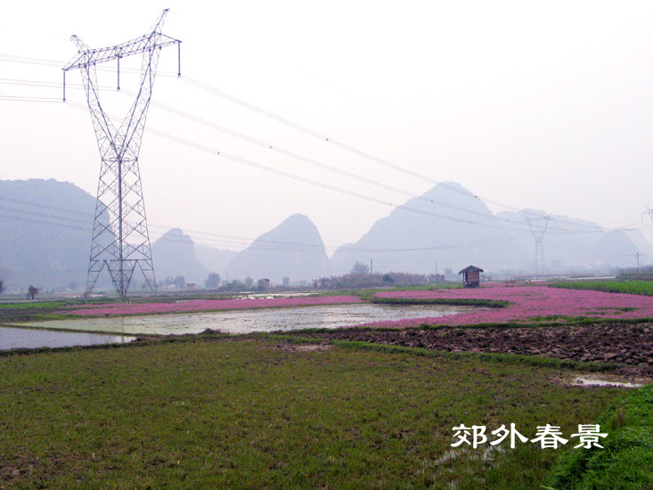 《朦胧春意》 摄影 老宜山