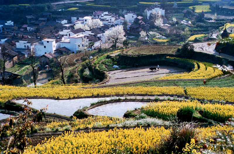 夕阳斜照 摄影 jianbo