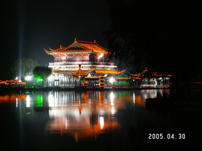 金山夜景 摄影 斜阳草树