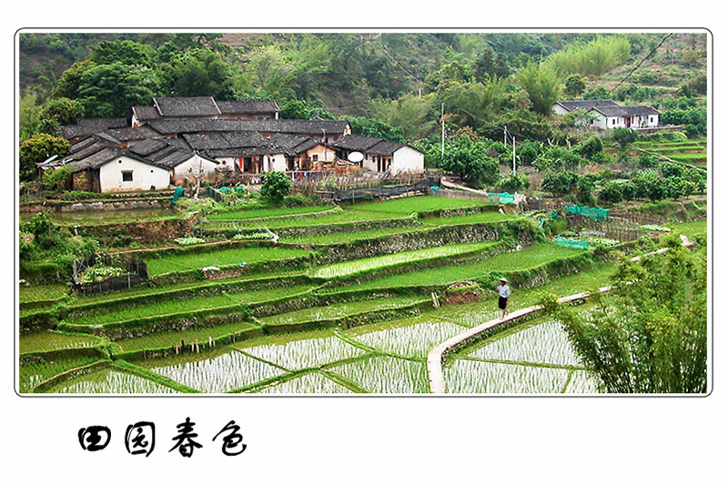 客家土楼系列-田园春色 摄影 林涧