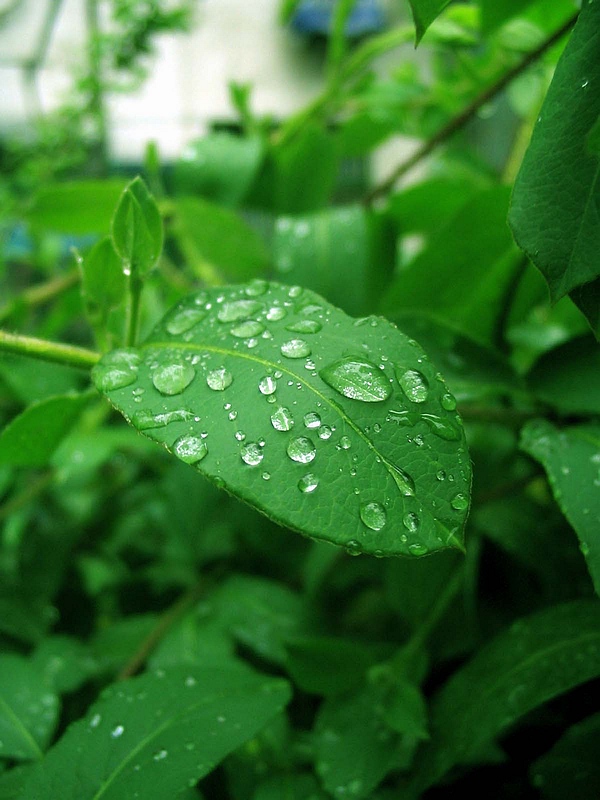 雨后 摄影 沉默彩虹