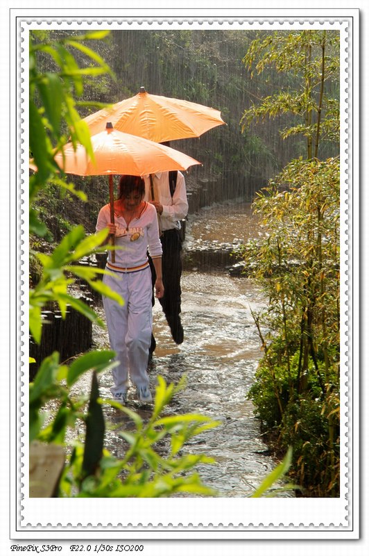 雨中情 摄影 岳公颖