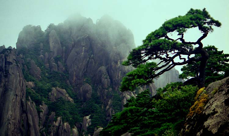 黄山风光3 摄影 山城老山羊