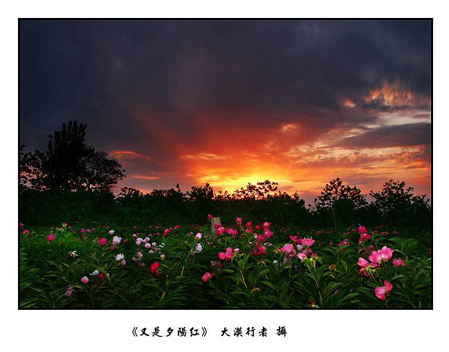 又见夕阳红 摄影 大漠行者