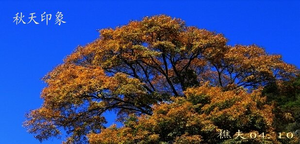 秋天印象 摄影 佛都樵夫