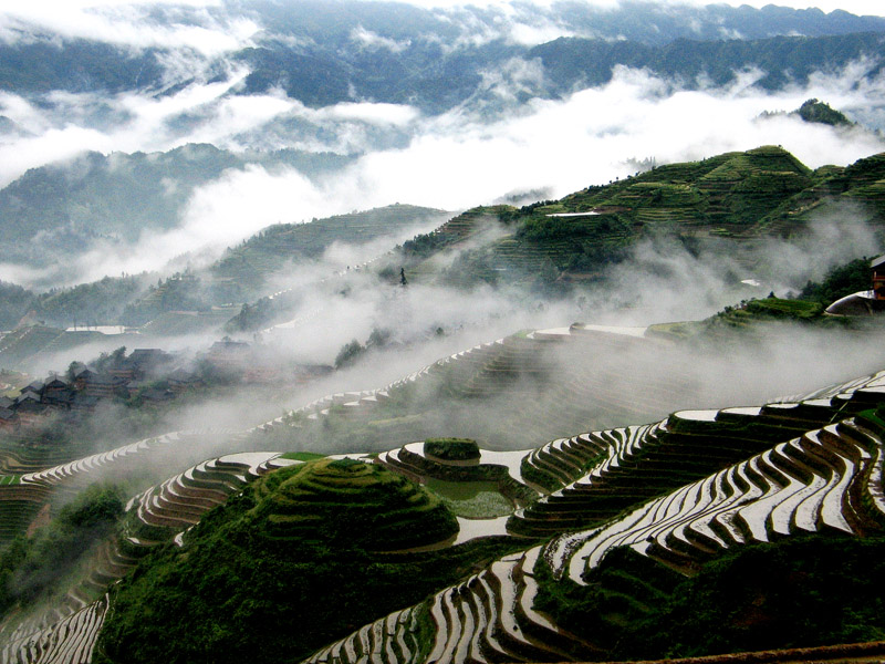 《雨雾中的龙脊梯田》 摄影 老宜山