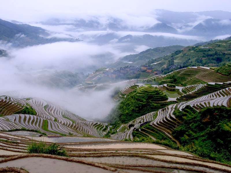 《金坑梯田》 摄影 老宜山