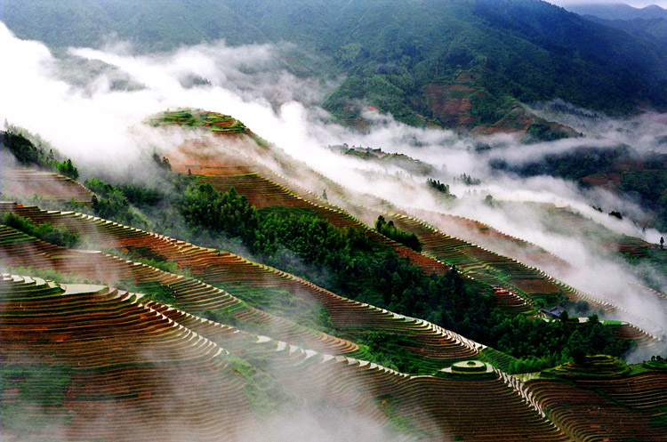 云梯 摄影 qinjiangyu