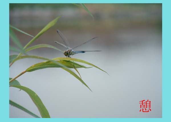 憩 摄影 tianbing