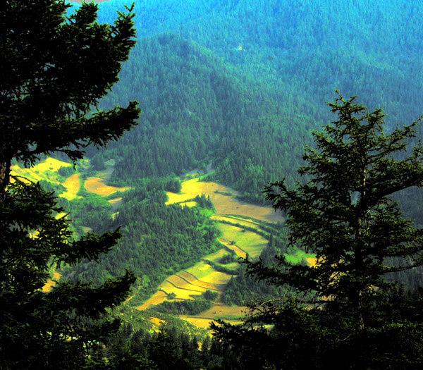 芦芽山风光 摄影 forestphoto