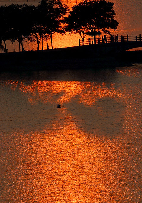 夕阳西下 摄影 鹰渡寒潭