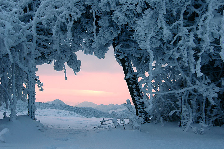 2005年的第一场雪 摄影 冬娃子