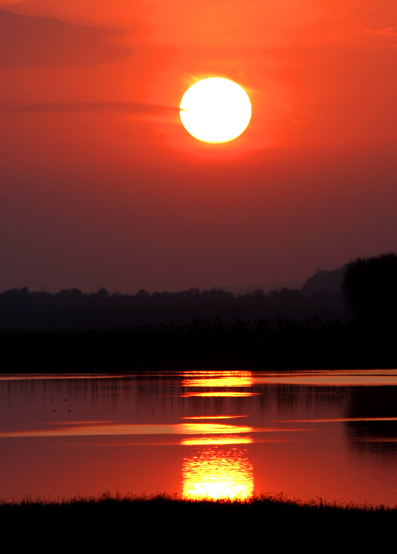 醉夕阳 摄影 风情