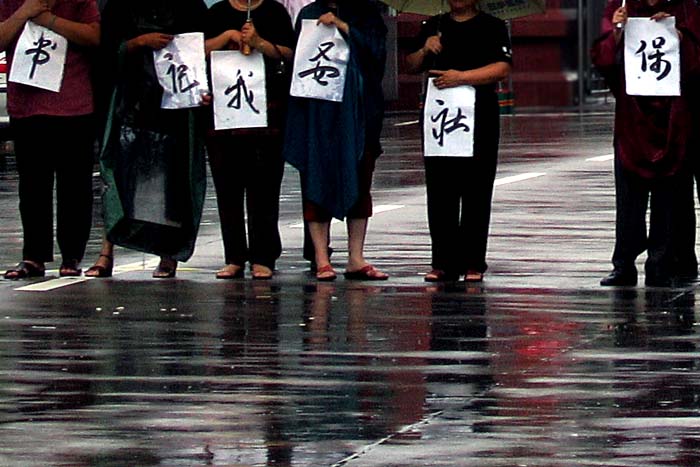 三天都下雨 摄影 林中