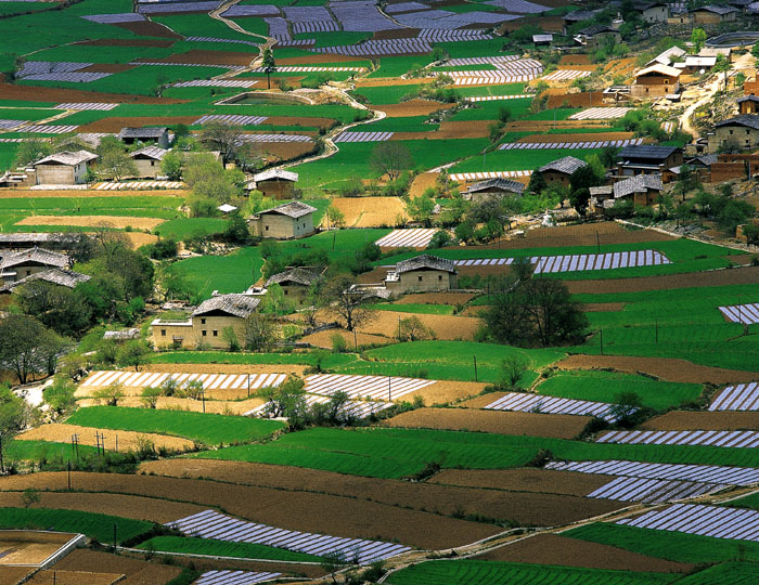 田园风光 摄影 季奇