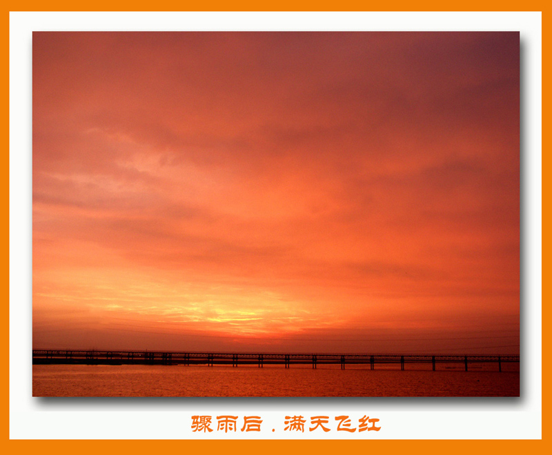 骤雨后.黎明前.满天飞红 摄影 贝壳